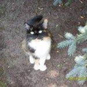 Meet your Posher, Gail